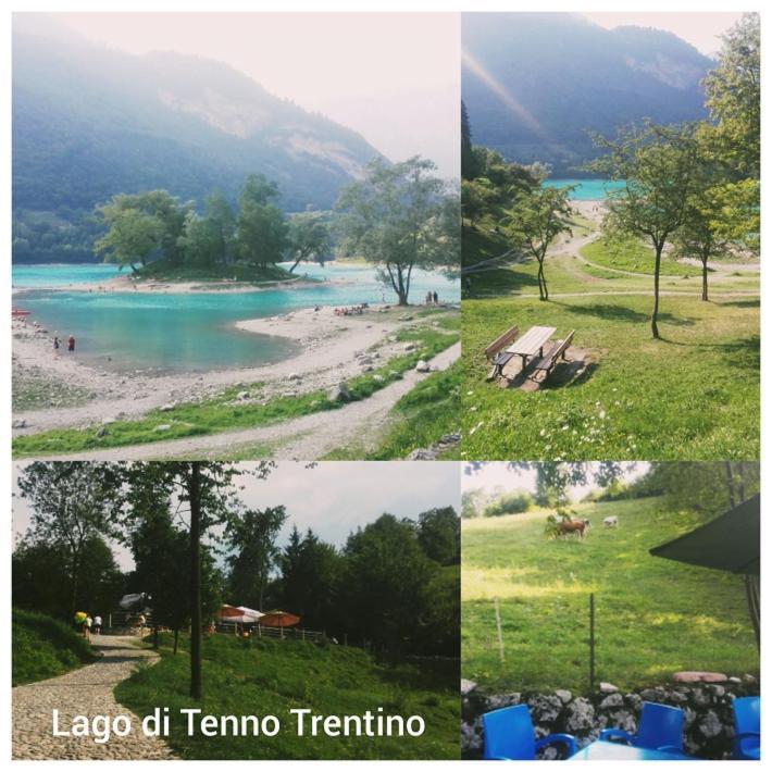Agritur Tenno Cantina Bio Natura Luaran gambar